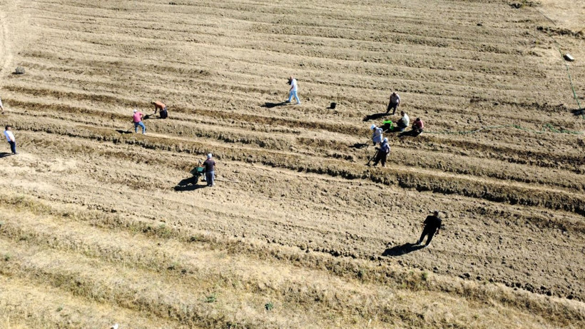 Soğanlar toprakla buluştu! Kilosu 450 bin TL - Resim: 13