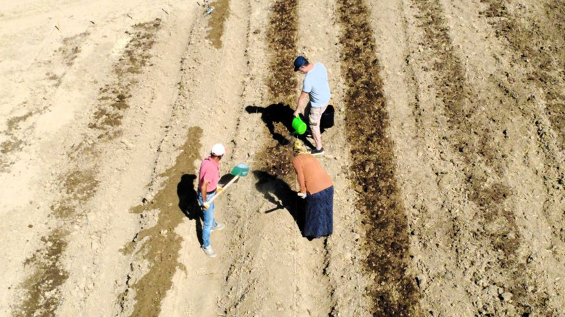 Soğanlar toprakla buluştu! Kilosu 450 bin TL - Resim: 12