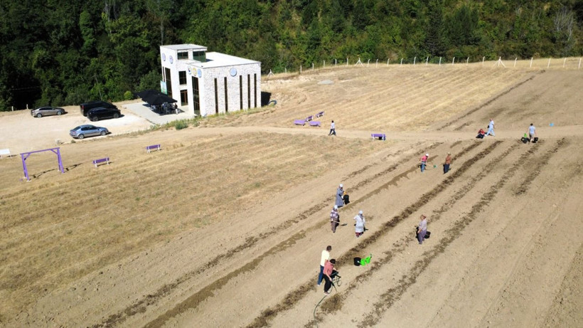 Soğanlar toprakla buluştu! Kilosu 450 bin TL - Resim: 11