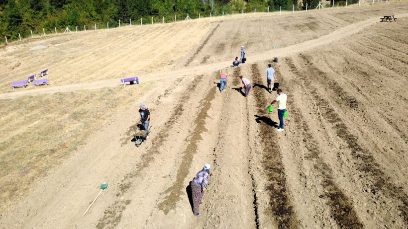 Soğanlar toprakla buluştu! Kilosu 450 bin TL - Resim: 9