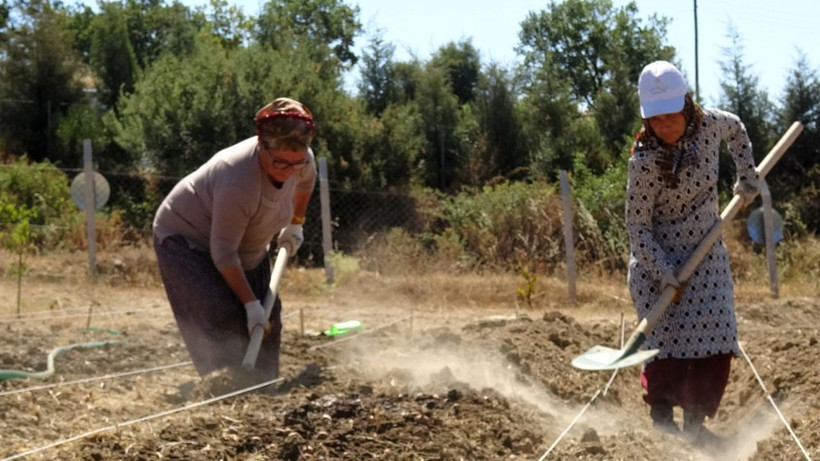 Soğanlar toprakla buluştu! Kilosu 450 bin TL - Resim: 2