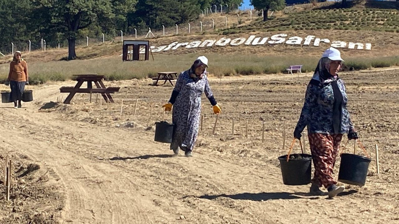 Soğanlar toprakla buluştu! Kilosu 450 bin TL - Resim: 1