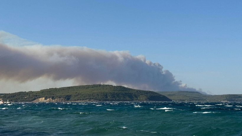 Çanakkale Gelibolu'da orman yangını: Hızla büyüdü - Resim: 8
