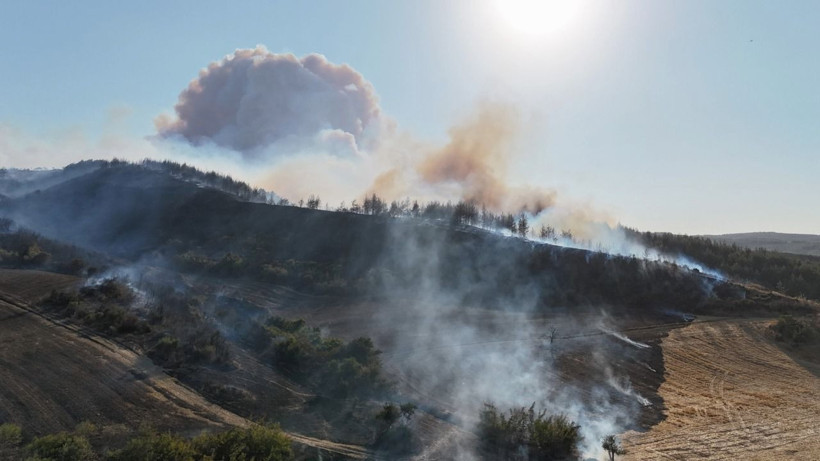 Çanakkale Gelibolu'da orman yangını: Hızla büyüdü - Resim: 2