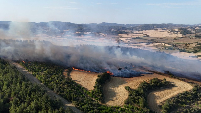 Çanakkale Gelibolu'da orman yangını: Hızla büyüdü - Resim: 4