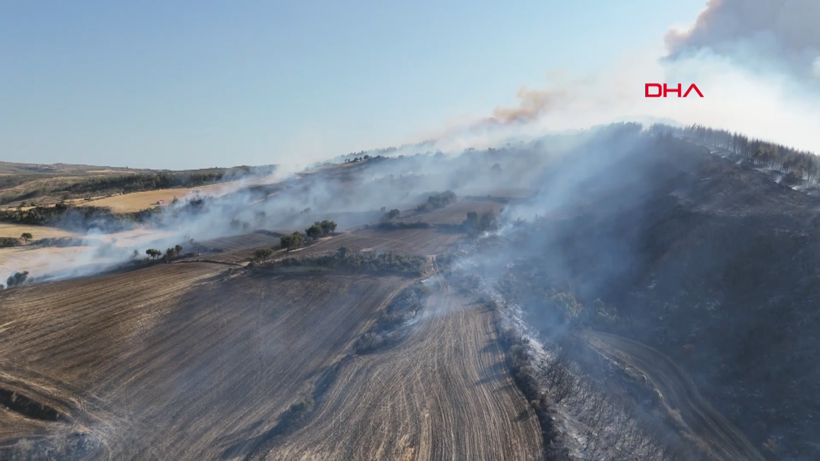Çanakkale Gelibolu'da orman yangını: Hızla büyüdü - Resim: 14