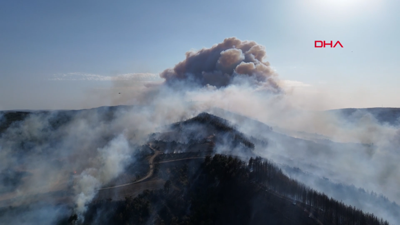 Çanakkale Gelibolu'da orman yangını: Hızla büyüdü - Resim: 15