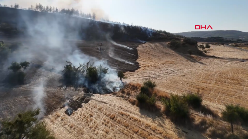 Çanakkale Gelibolu'da orman yangını: Hızla büyüdü - Resim: 16