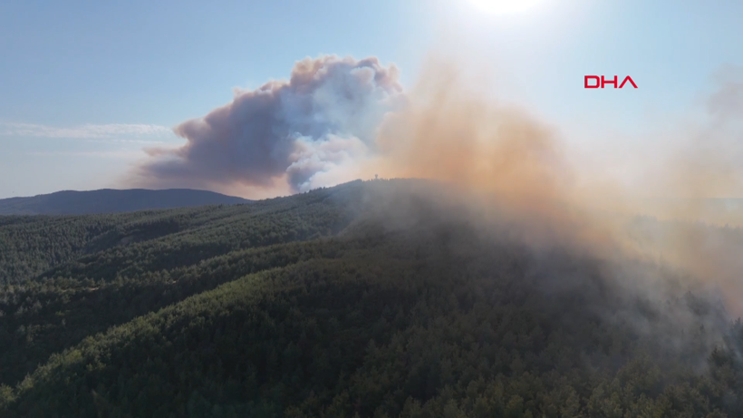 Çanakkale Gelibolu'da orman yangını: Hızla büyüdü - Resim: 10