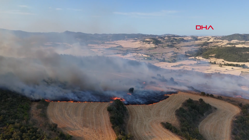 Çanakkale Gelibolu'da orman yangını: Hızla büyüdü - Resim: 11