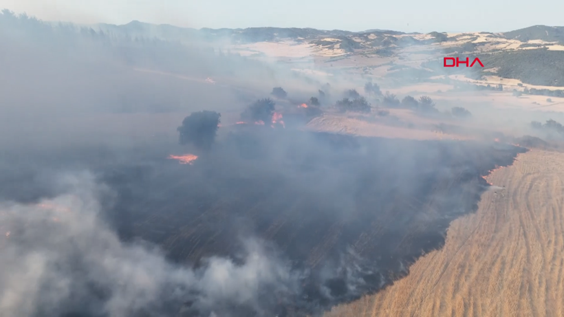 Çanakkale Gelibolu'da orman yangını: Hızla büyüdü - Resim: 12