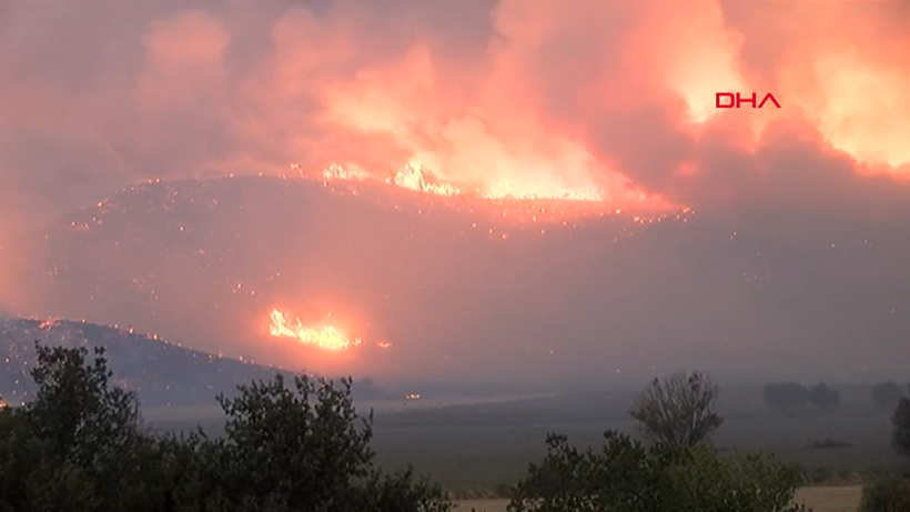 Çanakkale Gelibolu'da orman yangını: Hızla büyüdü - Resim: 22