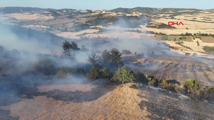 Çanakkale Gelibolu'da orman yangını: Hızla büyüdü - Resim: 13