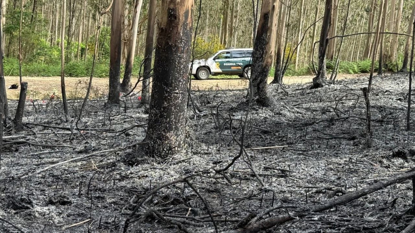 İspanya yanıyor! 7 kişi öldü, 4 bin kişi geceyi dışarıda geçirdi - Resim: 5
