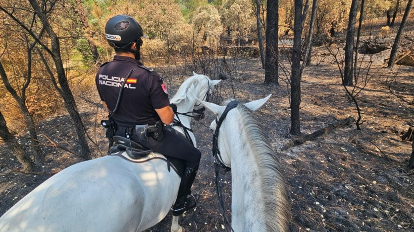 İspanya yanıyor! 7 kişi öldü, 4 bin kişi geceyi dışarıda geçirdi - Resim: 2