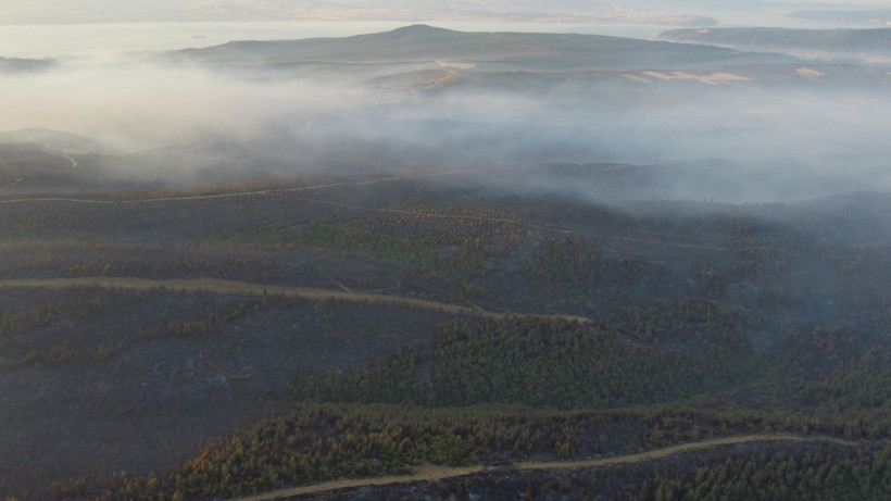 Çanakkale Gelibolu’daki orman yangını kontrol altına alındı: Yanan alanlar dronla görüntülendi - Resim: 2
