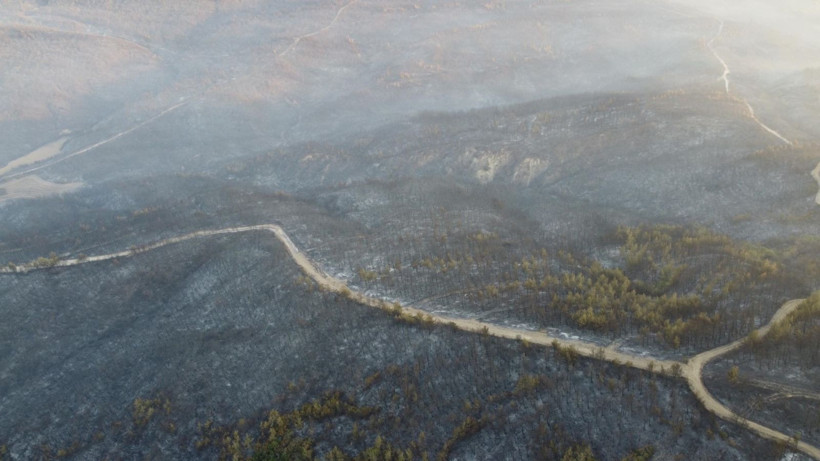 Çanakkale Gelibolu’daki orman yangını kontrol altına alındı: Yanan alanlar dronla görüntülendi - Resim: 3