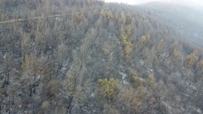Çanakkale Gelibolu’daki orman yangını kontrol altına alındı: Yanan alanlar dronla görüntülendi - Resim: 4