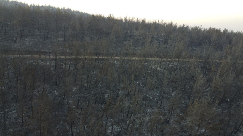 Çanakkale Gelibolu’daki orman yangını kontrol altına alındı: Yanan alanlar dronla görüntülendi - Resim: 5