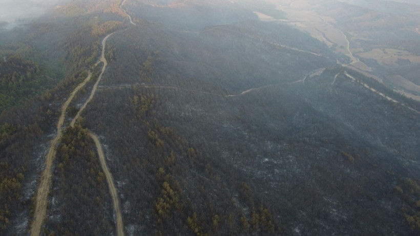 Çanakkale Gelibolu’daki orman yangını kontrol altına alındı: Yanan alanlar dronla görüntülendi - Resim: 6