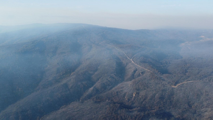 Çanakkale Gelibolu’daki orman yangını kontrol altına alındı: Yanan alanlar dronla görüntülendi - Resim: 8