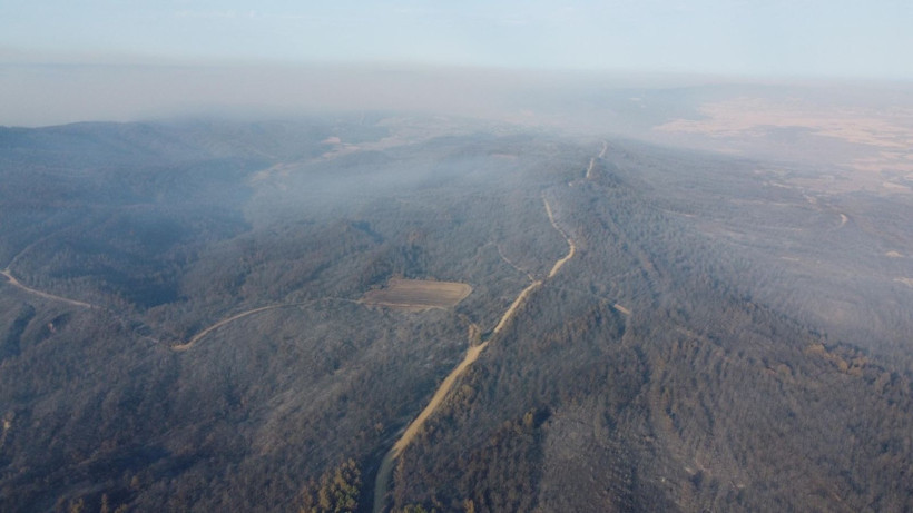 Çanakkale Gelibolu’daki orman yangını kontrol altına alındı: Yanan alanlar dronla görüntülendi - Resim: 9