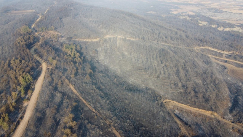 Çanakkale Gelibolu’daki orman yangını kontrol altına alındı: Yanan alanlar dronla görüntülendi - Resim: 10