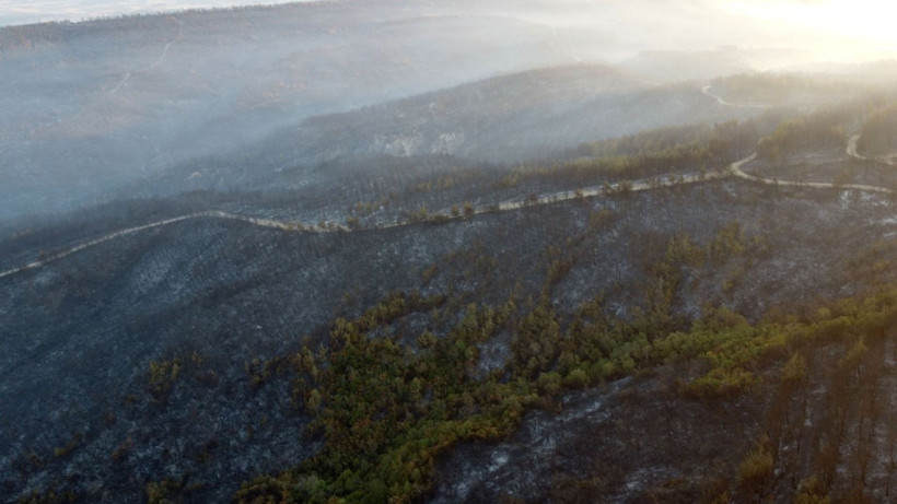 Çanakkale Gelibolu’daki orman yangını kontrol altına alındı: Yanan alanlar dronla görüntülendi - Resim: 11