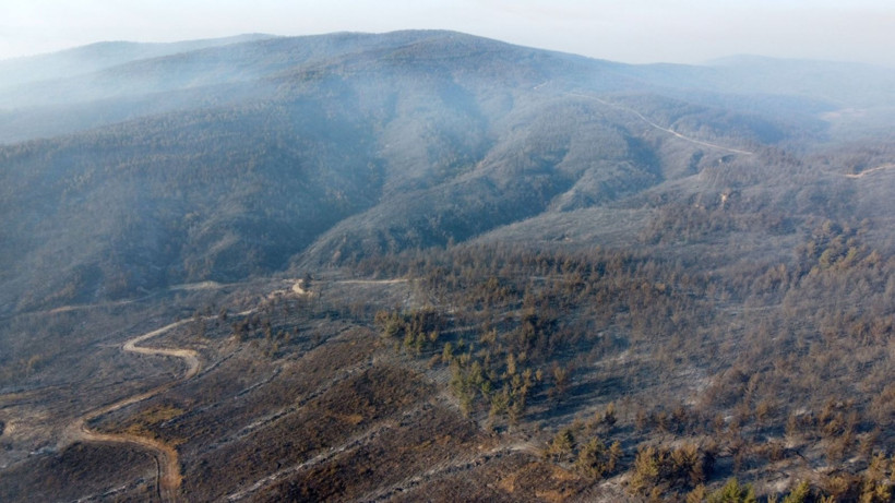 Çanakkale Gelibolu’daki orman yangını kontrol altına alındı: Yanan alanlar dronla görüntülendi - Resim: 12