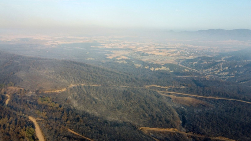 Çanakkale Gelibolu’daki orman yangını kontrol altına alındı: Yanan alanlar dronla görüntülendi - Resim: 13