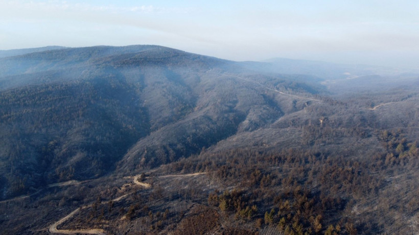Çanakkale Gelibolu’daki orman yangını kontrol altına alındı: Yanan alanlar dronla görüntülendi - Resim: 14