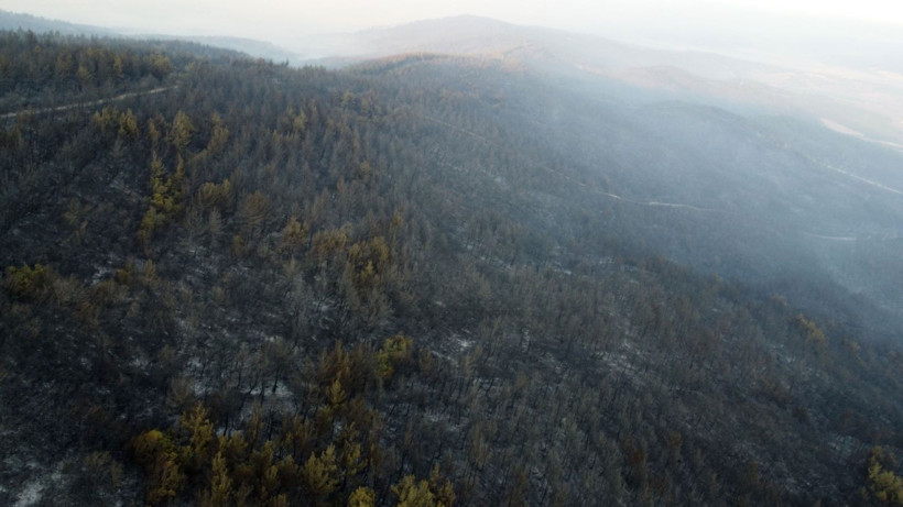 Çanakkale Gelibolu’daki orman yangını kontrol altına alındı: Yanan alanlar dronla görüntülendi - Resim: 15