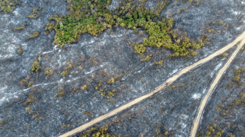 Çanakkale Gelibolu’daki orman yangını kontrol altına alındı: Yanan alanlar dronla görüntülendi - Resim: 16
