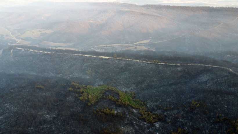 Çanakkale Gelibolu’daki orman yangını kontrol altına alındı: Yanan alanlar dronla görüntülendi - Resim: 17