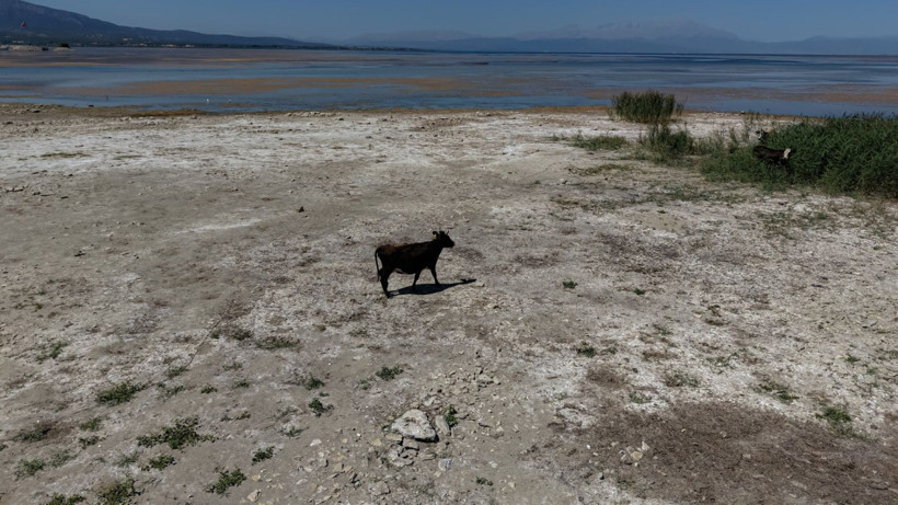 Türkiye'nin en büyük tatlı su gölünde kuraklık alarmı: Suyun çekilmesiyle adalar oluştu - Resim: 4