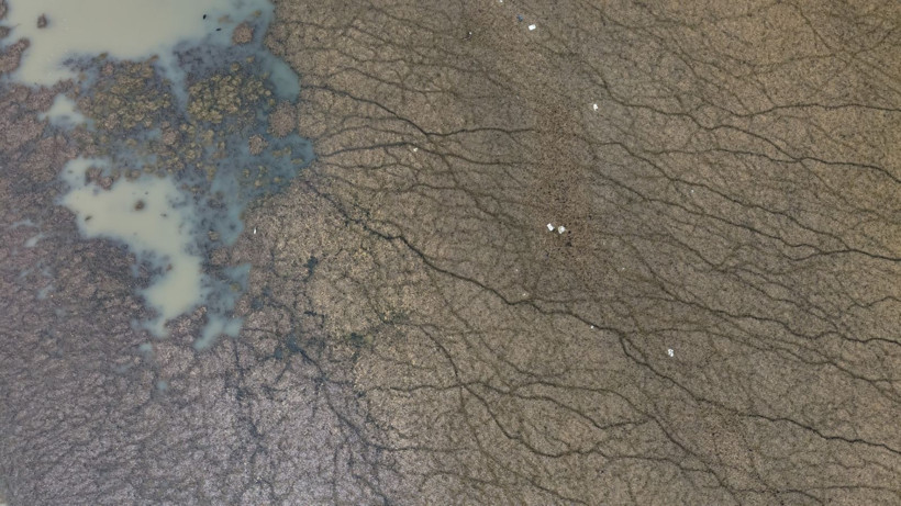 Türkiye'nin en büyük tatlı su gölünde kuraklık alarmı: Suyun çekilmesiyle adalar oluştu - Resim: 6