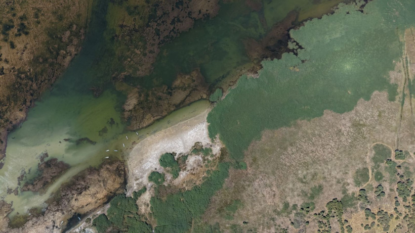 Türkiye'nin en büyük tatlı su gölünde kuraklık alarmı: Suyun çekilmesiyle adalar oluştu - Resim: 18