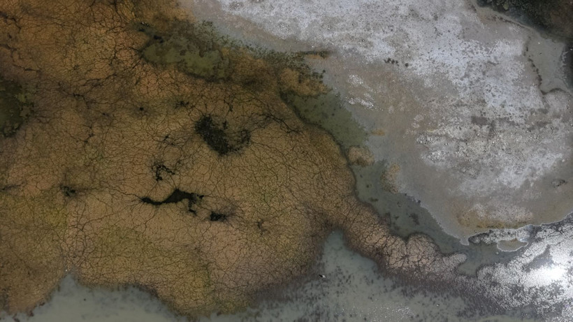 Türkiye'nin en büyük tatlı su gölünde kuraklık alarmı: Suyun çekilmesiyle adalar oluştu - Resim: 20
