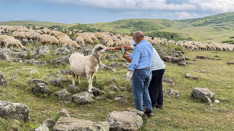 639 yıllık mezarlık köylülerin hayvanlarına tuz taşı oldu - Resim : 1