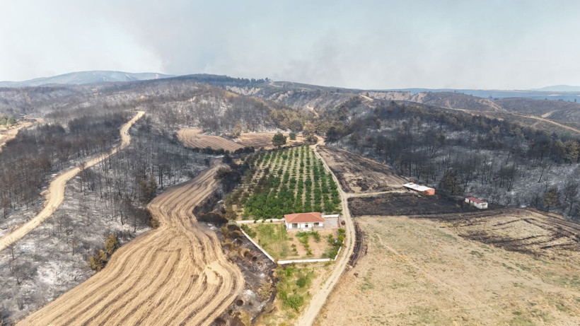 Her yer kül oldu, bir tek onun bahçesi kurtuldu - Resim: 1