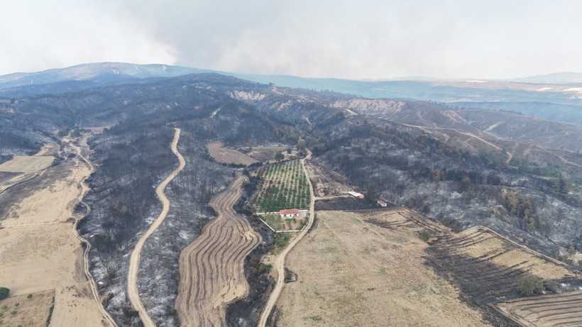 Her yer kül oldu, bir tek onun bahçesi kurtuldu - Resim: 2