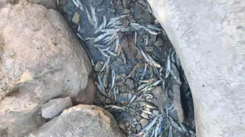 Köylüler isyan etti, jandarmayla karşı karşıya geldi - Resim : 1