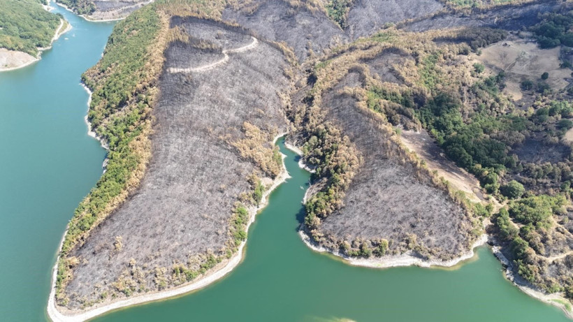 Kocaeli'de acı manzara - Resim: 1