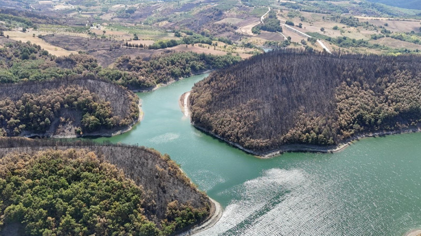 Kocaeli'de acı manzara - Resim: 4
