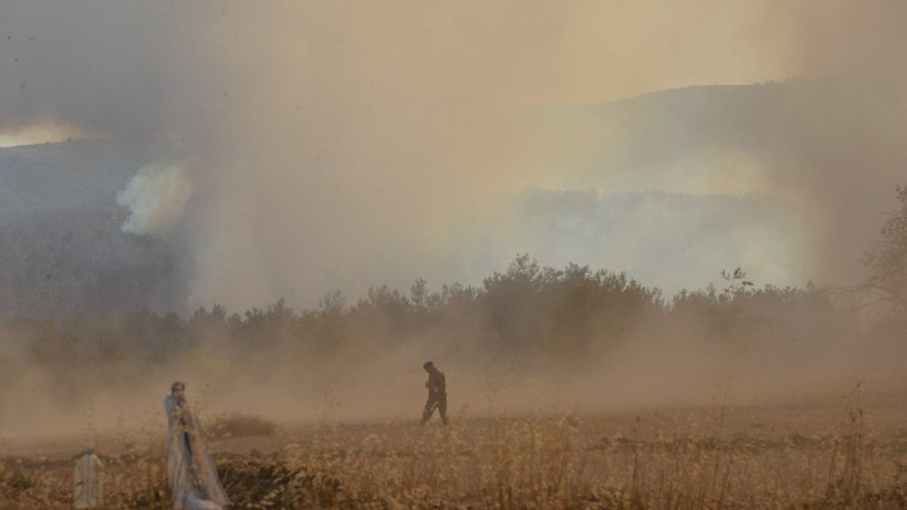 Gelibolu’da orman yangını - Resim: 14
