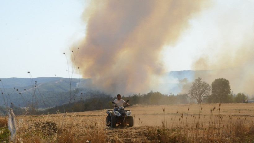 Gelibolu’da orman yangını - Resim: 16