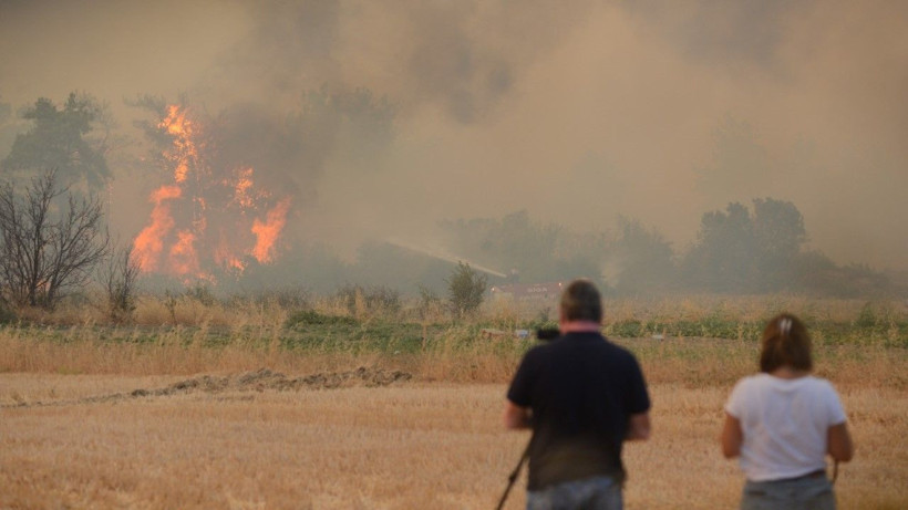 Gelibolu’da orman yangını - Resim: 20