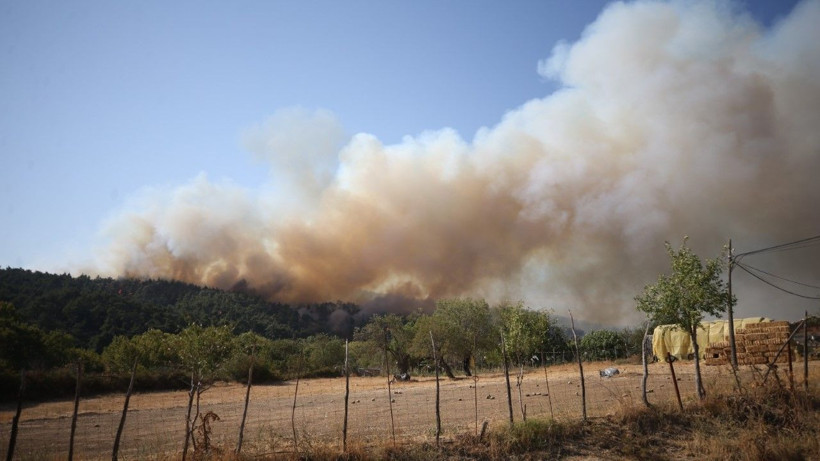 Gelibolu’da orman yangını - Resim: 23