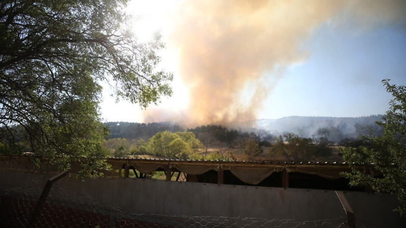 Gelibolu’da orman yangını - Resim: 24