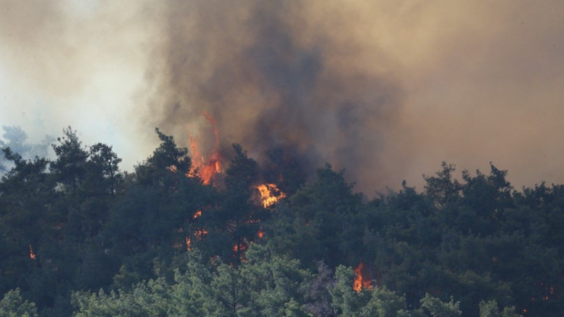 Gelibolu’da orman yangını - Resim: 25